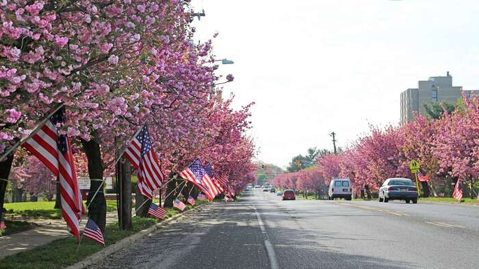 Cherry Hill heating and air conditioning
